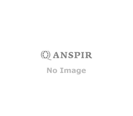 Lorem Ipsum Lorem Ipsum Lorem Ipsum Lorem Ipsum